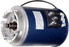 REP.MOTOR EL.TRACCION 48V Foto 1